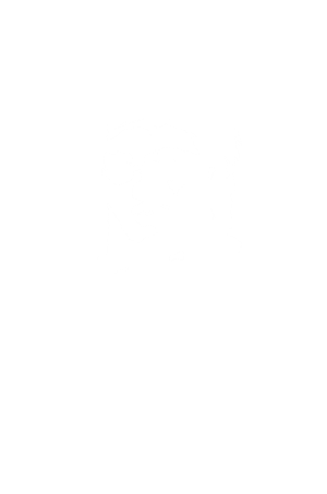 Mount Action